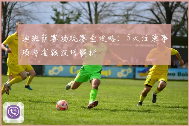 迪班萨赛场观赛全攻略：5大注意事项与省钱技巧解析